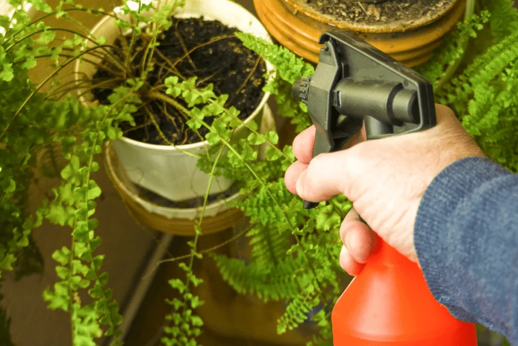 Tradiční černé mýdlo: ekologický poklad pro vaši zahradu