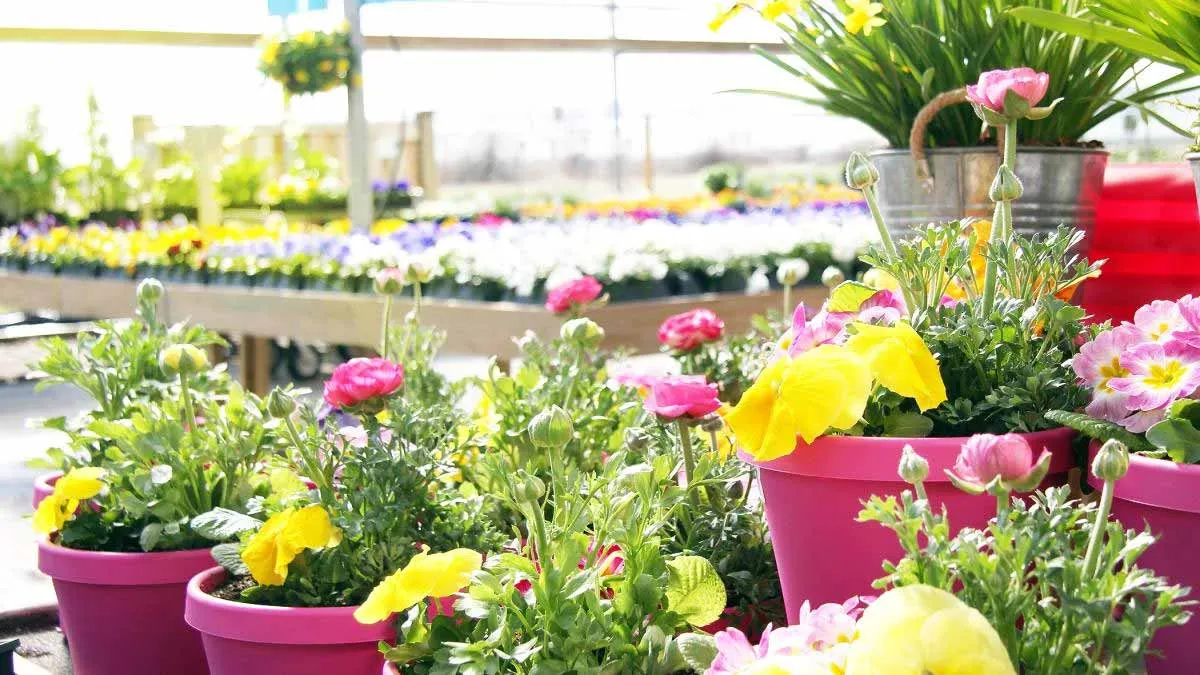 Zahradnická značka Côté Nature zavírá některé pobočky ve Francii