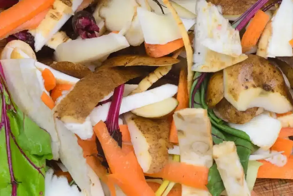 Jak omezit domácí odpad a krmit slepice tak, aby měly všechno, co potřebují