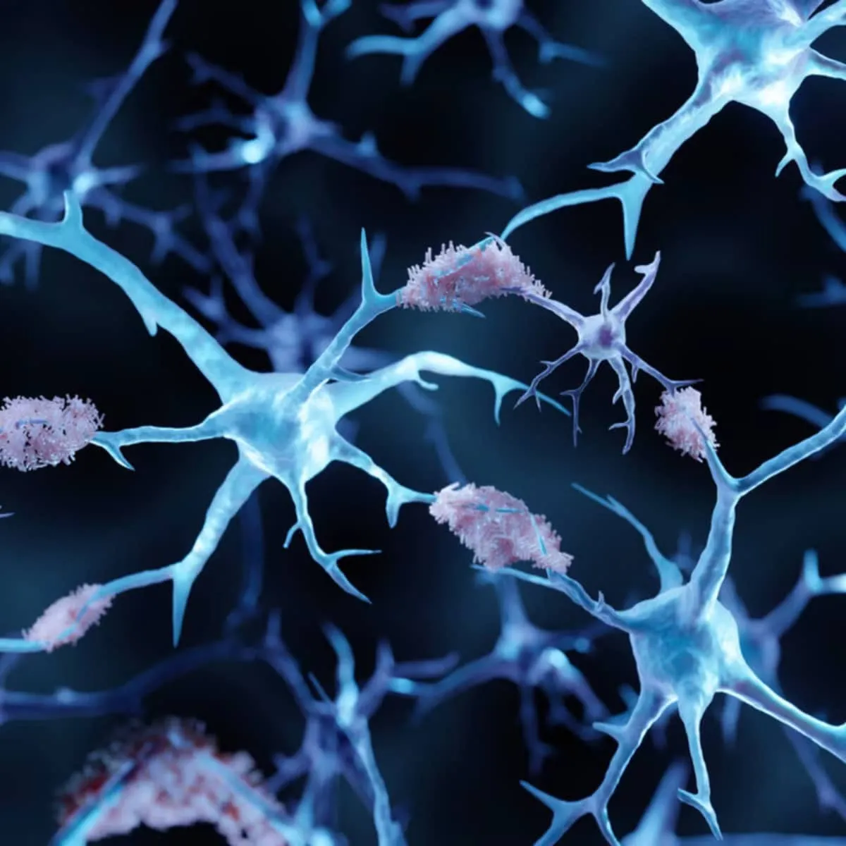 Kvalita spánku: jak spánek může chránit paměť před Alzheimerovou chorobou