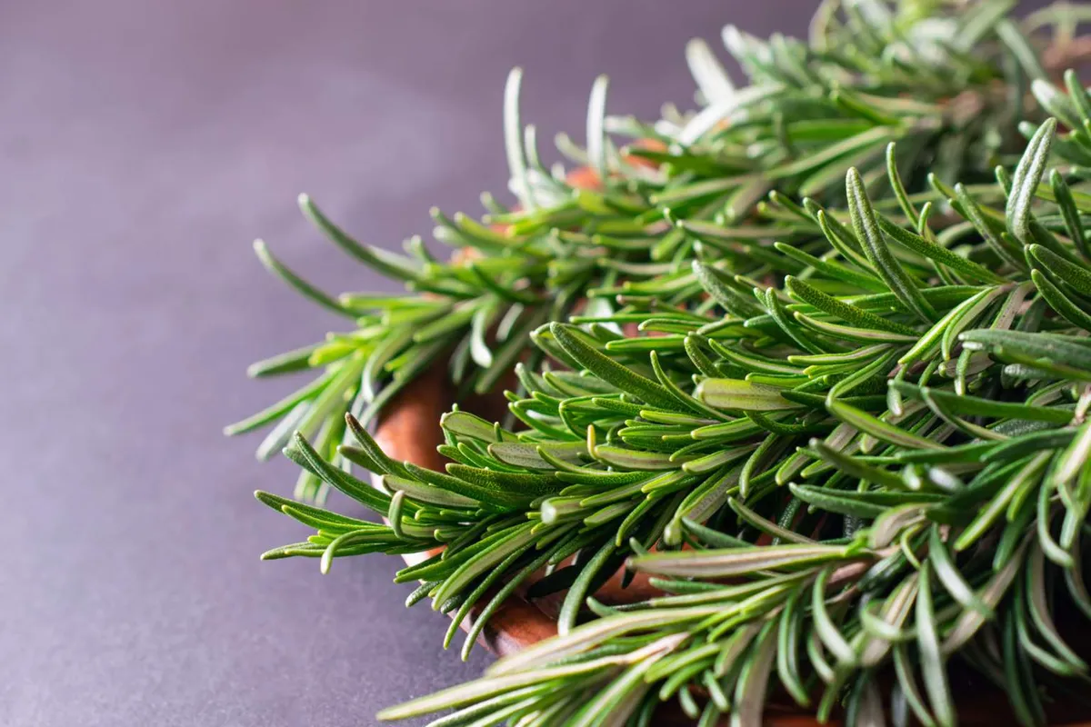 Proměňte svůj domov jednoduchým rituálem vaření rozmarýnu