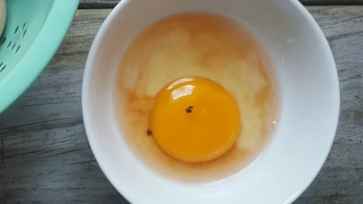 Co skrývá ta malá červená sraženina ve vejci