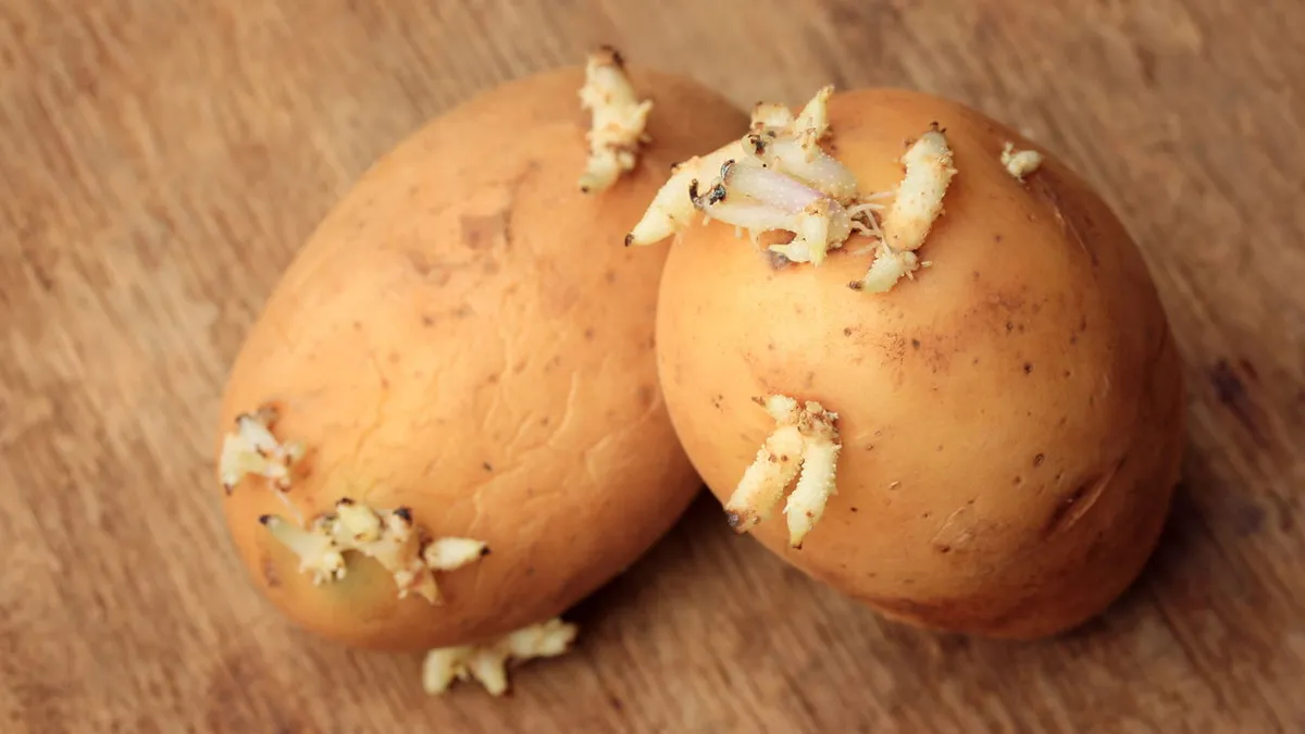 Jak udržet brambory čerstvé po dobu tří měsíců: jednoduchý trik na zmrazení