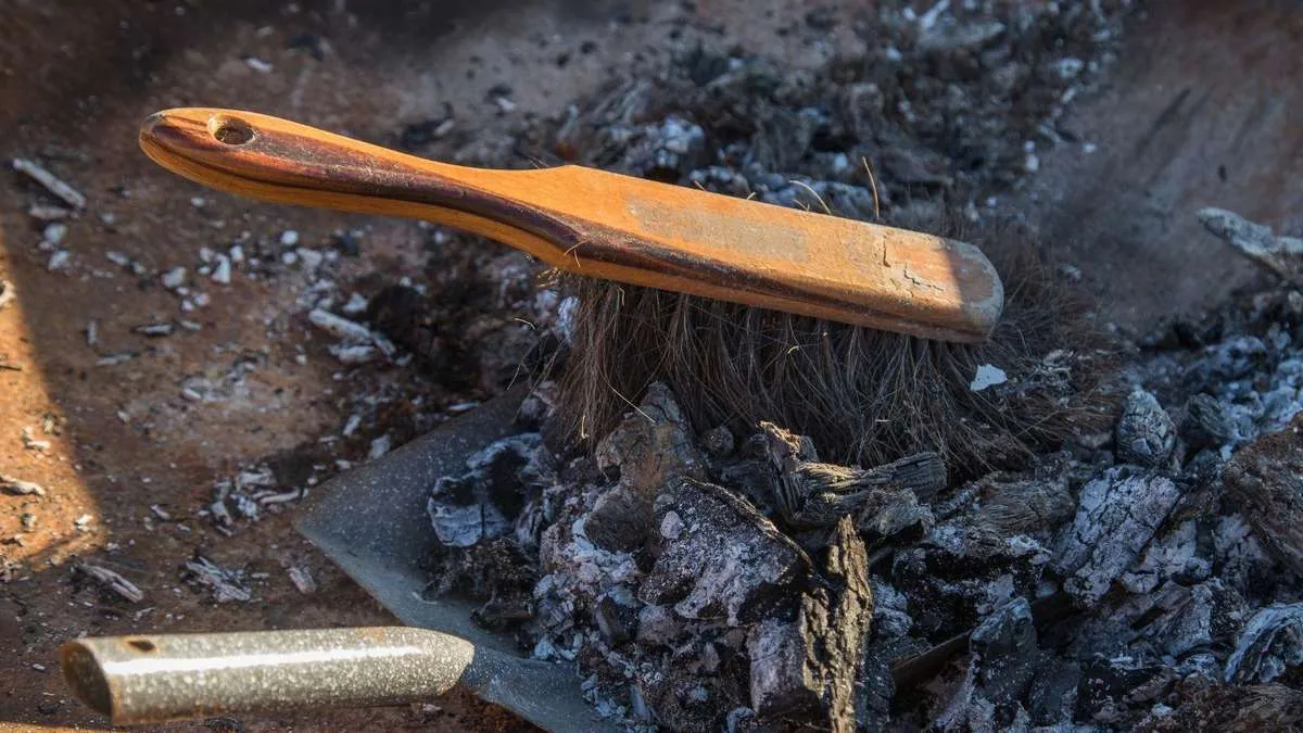 Mnoho lidí to vyhazuje, ale je to poklad na zahradě: zahradník vysvětluje, jak to používat