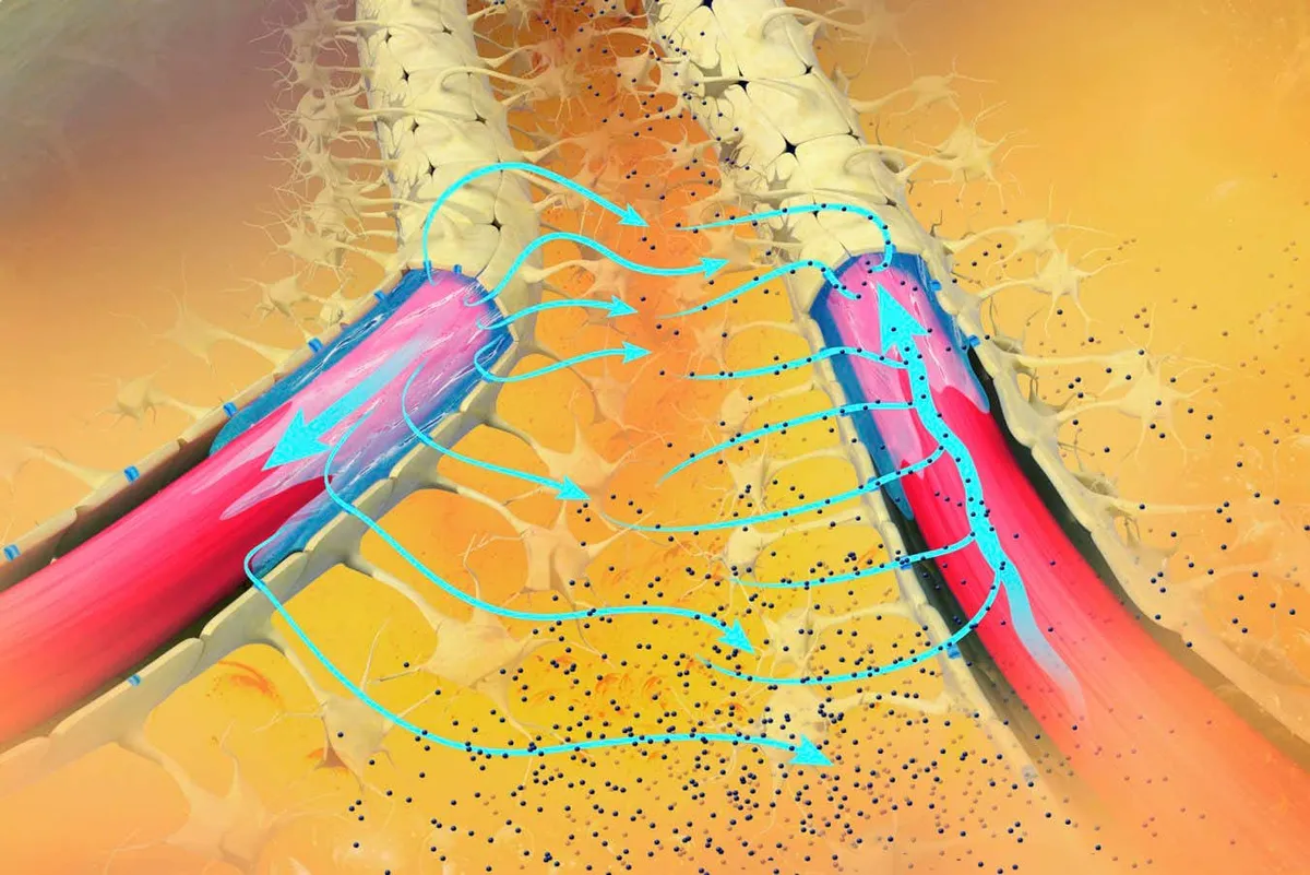 Nový objev v léčbě Alzheimerovy nemoci